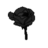 ill_blackrose
