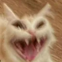 __