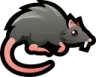 RATTO