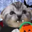 YummyHalloween