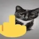 catMiddleFinger