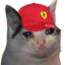 SFKittyCry