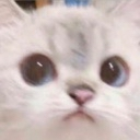 z_turamlachu custom emote | Lemniscate Network