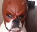 Angry