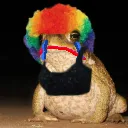 clowntoad