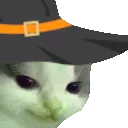 MEOWDY