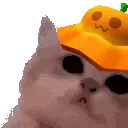 kittyJam
