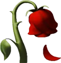 wilted_rose_4k