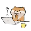 ottlaptop