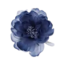 flower2
