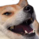 kekdog