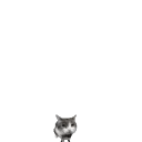 catbrick