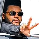 abel_peace