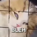 bleh