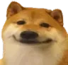 dogesmoil