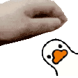 102773petducky