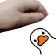 102773petducky