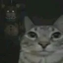 hesrightbehindmeisnthe