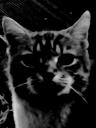 death_stare Discord emoji