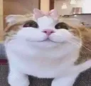1393960137697525901