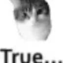 mistertrue