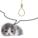 MeanCat