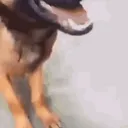 Smelly