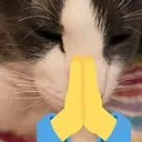 sog_pray sog_pray