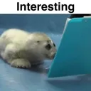 Interesting