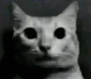 hmm