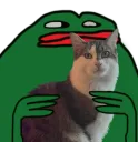 HmmCat