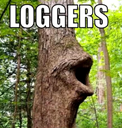 loggers Discord sticker from Codenames ENG-ESP | Boardgames