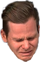 GB_stevesad Discord emoji