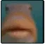 FishgeTriggered