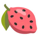 waterlemon