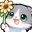 cat_gib_flower