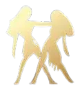 z_5Gemini