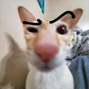 wtfff Discord emoji
