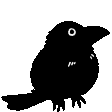 crow
