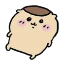 kuri4