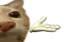 catShrug2