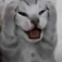 emoji_446 Discord emoji