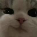 emoji_447 Discord emoji