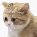 emoji_450 Discord emoji