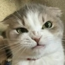 emoji_451 Discord emoji