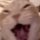 emoji_453 Discord emoji