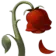 rose_wilted_apple