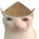 Discord Emote chinacat: