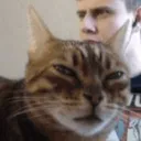 huhcat