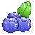 blueberries